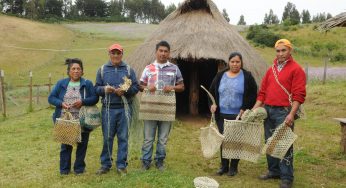 FIA abre convocatoria para experiencias que complementen los procesos de innovación en el agro