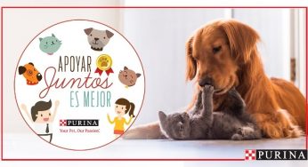 Nestlé Purina adelanta convocatoria de Fondos Concursables en apoyo a mascotas