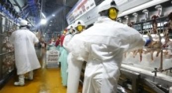 Ministro Walker anuncia apertura para mercado de carne de ave y cerdo chileno a Filipinas