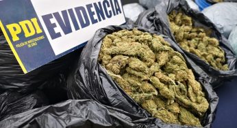 PDI detiene a organizaciones dedicada al tráfico de drogas en regiones de Coquimbo y Valparaíso