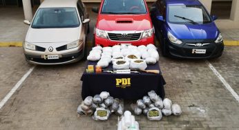 PDI detiene a clan familiar dedicado al cultivo y venta de drogas