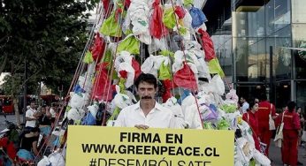 Greenpeace y eliminación de las bolsas plásticas: "Celebramos este primer avance contra la pandemia del plástico"