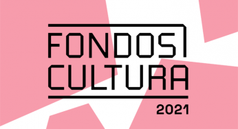 Reiteran llamado a postular a los Fondos de Cultura 2021