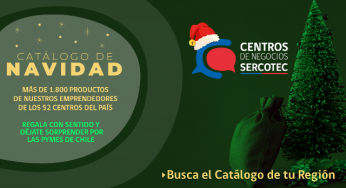 Sercotec crea Catálogo de Navidad online para reactivar a las pymes