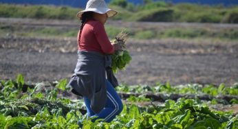 CNR anuncia nuevo curso online gratuito para mujeres agricultoras
