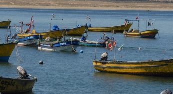 Subpesca inicia proceso para nominar a miembros del Consejo Zonal de Pesca de Atacama y Coquimbo