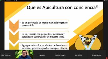 Realizan Seminario Apícola para generar conciencia sobre el valor de las abejas y visibilizar su aporte a la seguridad alimentaria