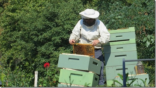 beekeeper-941688_960_720