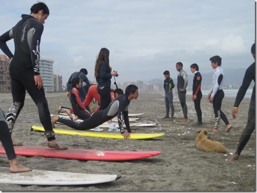 clinica-de-surf