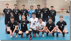 volei liga 4