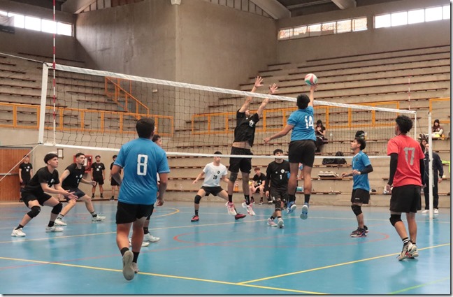 volei liga3