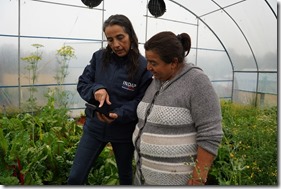 “Mi Pago INDAP” La plataforma digital que facilitará los pagos de usuarios y usuarias de la institución en la región de Coquimbo