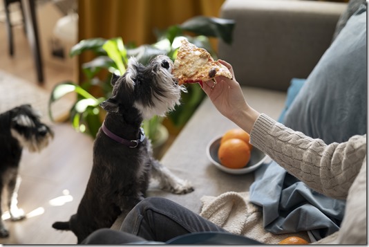 perro-comiendo-pizza