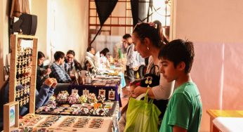 Ilustración, música y artes visuales: Festival Frijol Mágico celebrará su XIII versión en Coquimbo