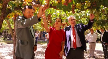 Autoridades destacan ingreso de paisaje vitivinícola del pisco chileno a la tentativa de UNESCO