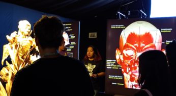 Jóvenes en reinserción exploran la anatomía humana en la exposición Bodies Evolution