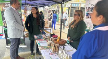 En feria ciudadana: Jardines infantiles de JUNJI Coquimbo dan a conocer a la comunidad sus sellos educativos