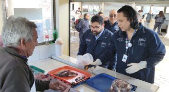 Gobierno ha cursado más de 30 sumarios sanitarios previo a Semana Santa
