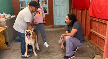Proyecto financiado por Subdere promueve la tenencia responsable de animales de compañía