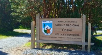 Fedetur arremete por anuncio de paro indefinido de funcionarios de CONAF: “Provocan un enorme daño al turismo y al país”