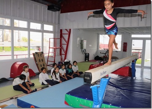 cedin gimnasia2