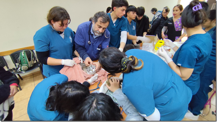 OPERATIVO VETERINARIO (1)