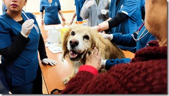 OPERATIVO VETERINARIO (2)