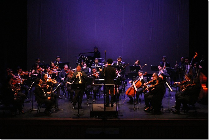 VII Concierto de Temp_1