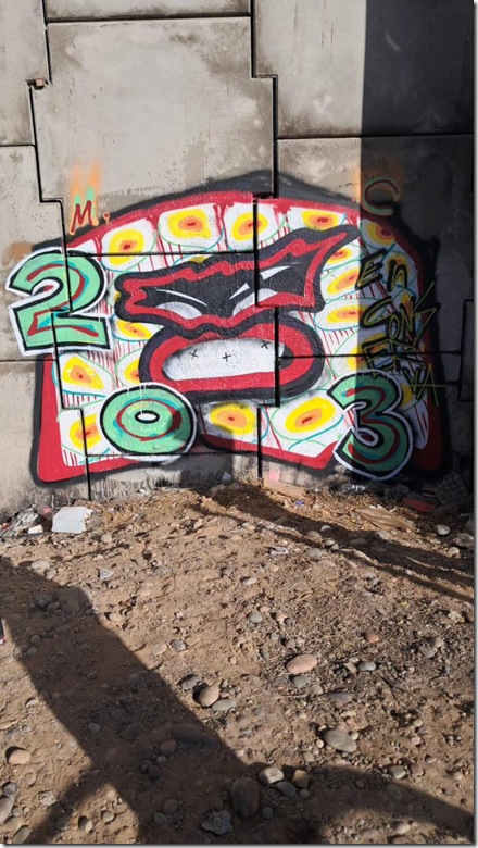 Campa&ntilde;a Rayados 1