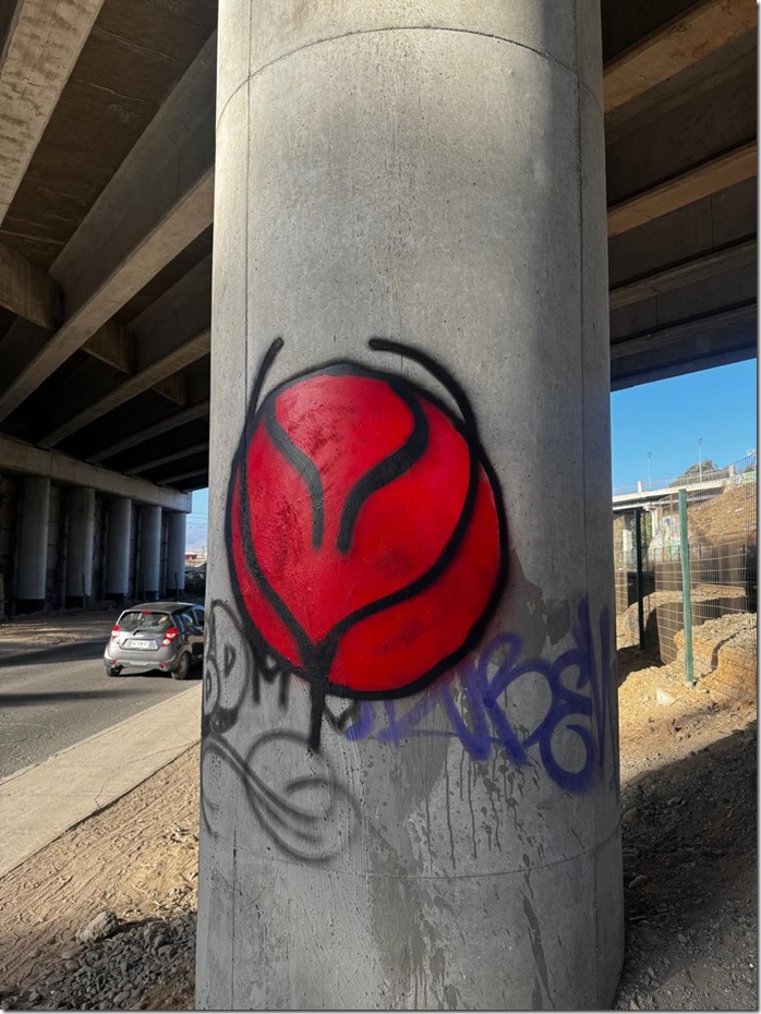 Campa&ntilde;a Rayados 4