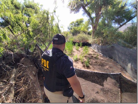 WhatsApp Image 2026-03-28 at 11.46.45-2