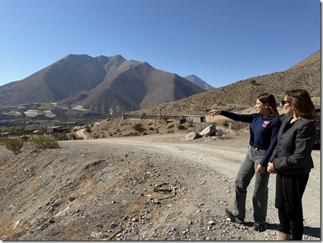 Fiscalización Vicuña 1 (5)