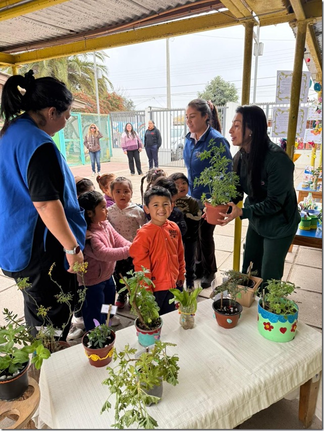 JI Colorín Colorado