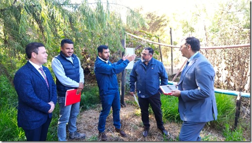 WhatsApp Image 2026-04-10 at 18.14.42