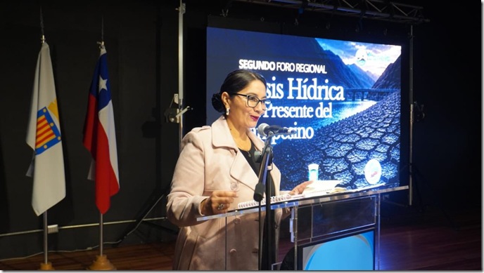 Diputada en foro del agua