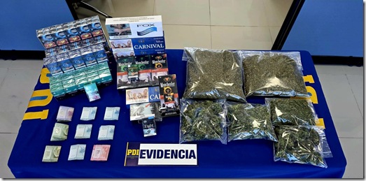 vicuña MT0_02