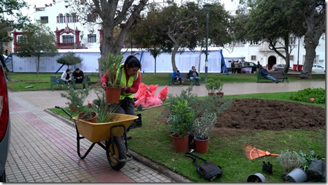 Plaza de Armas 4
