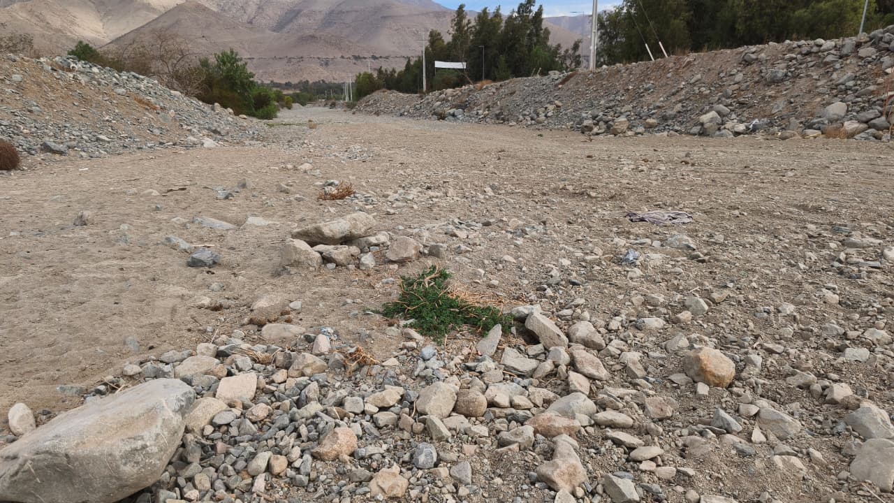 Autoridades inspeccionan la quebrada de Leiva en Vicuña para prevenir riesgos por sistema frontal