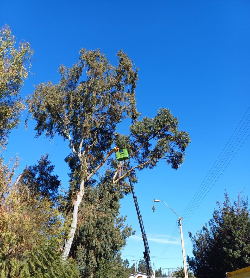 Brigadas técnicas de CGE trabajando en terreno para mantener el suministro eléctrico en la región de Coquimbo