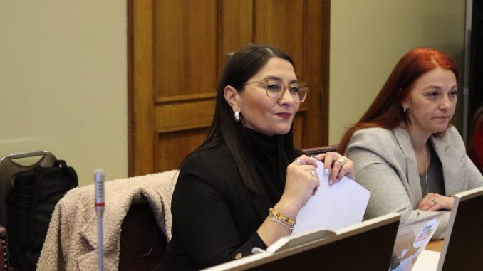 Diputada Nathalie Castillo en reunión con vecinos de Arrayán Costero, La Serena, discutiendo medidas preventivas ante sistema frontal.