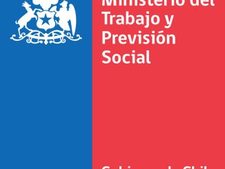 Trabajadores y fiscalizadores frente a una grúa desplomada en una obra en Coquimbo