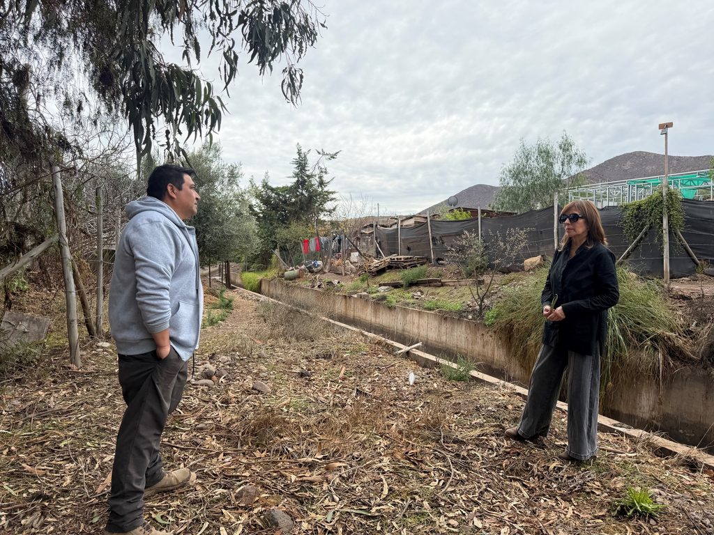Autoridades de Bienes Nacionales inspeccionando terreno en Coquimbo tras intensas lluvias