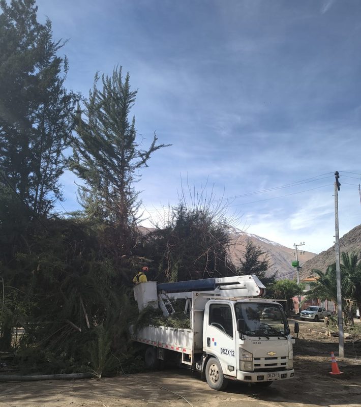 Trabajadores realizando labores de poda en árboles cercanos a cables de alta tensión en Paihuano