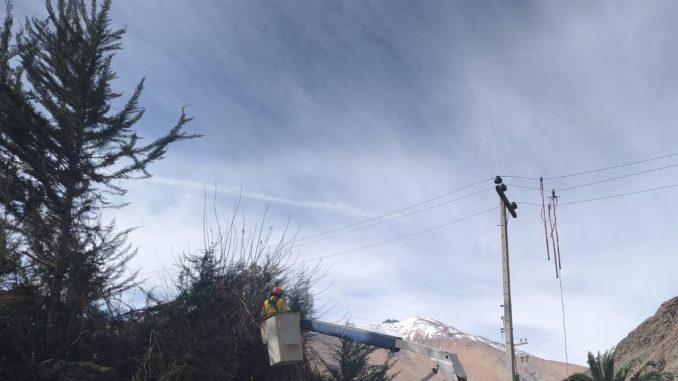 Trabajadores realizando labores de poda en árboles cercanos a cables de alta tensión en Paihuano