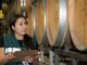 Viñedos en la Región de Coquimbo durante la temporada de cosecha