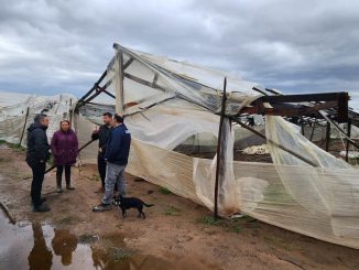 Oficinas de Corfo facilitando trámites de financiamiento para empresas afectadas por emergencias climáticas