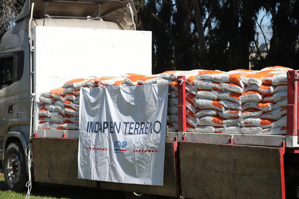 Productores caprinos de La Serena recibiendo sacos de alimento para su ganado entregados por INDAP.