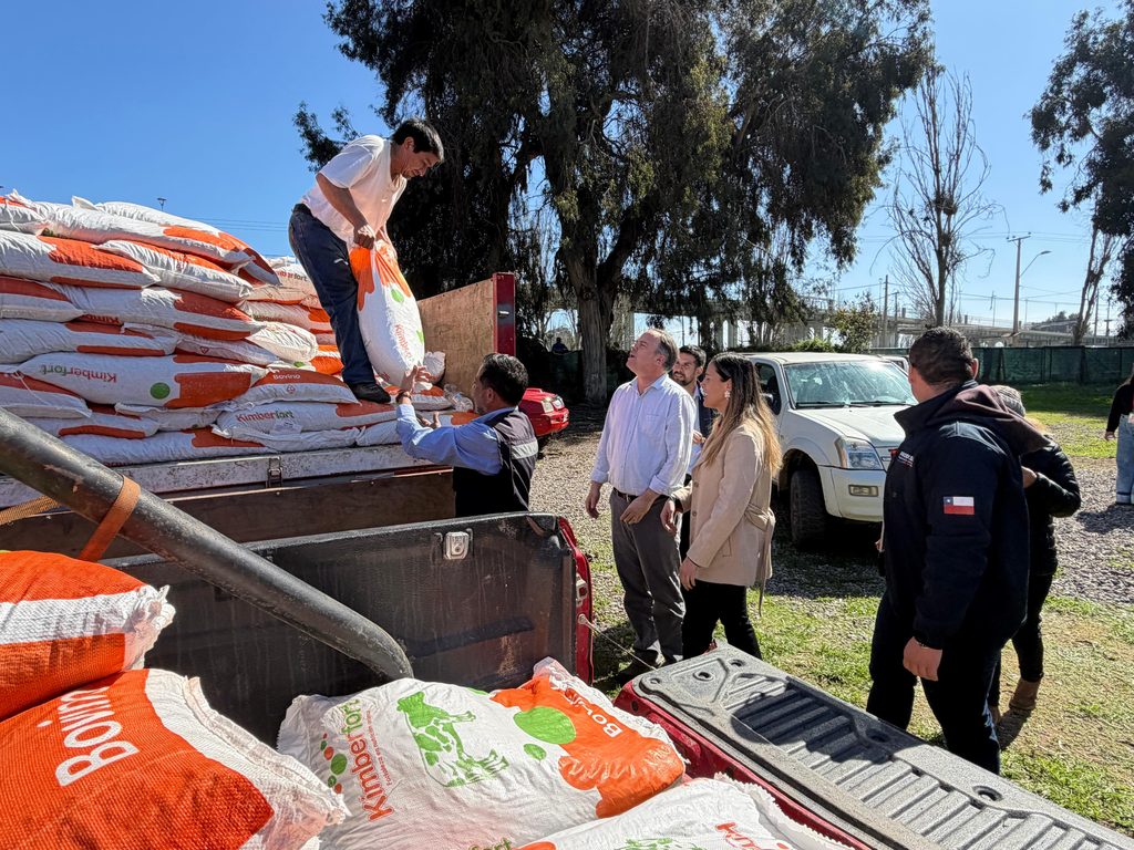 Productores caprinos de La Serena recibiendo sacos de alimento para su ganado entregados por INDAP.