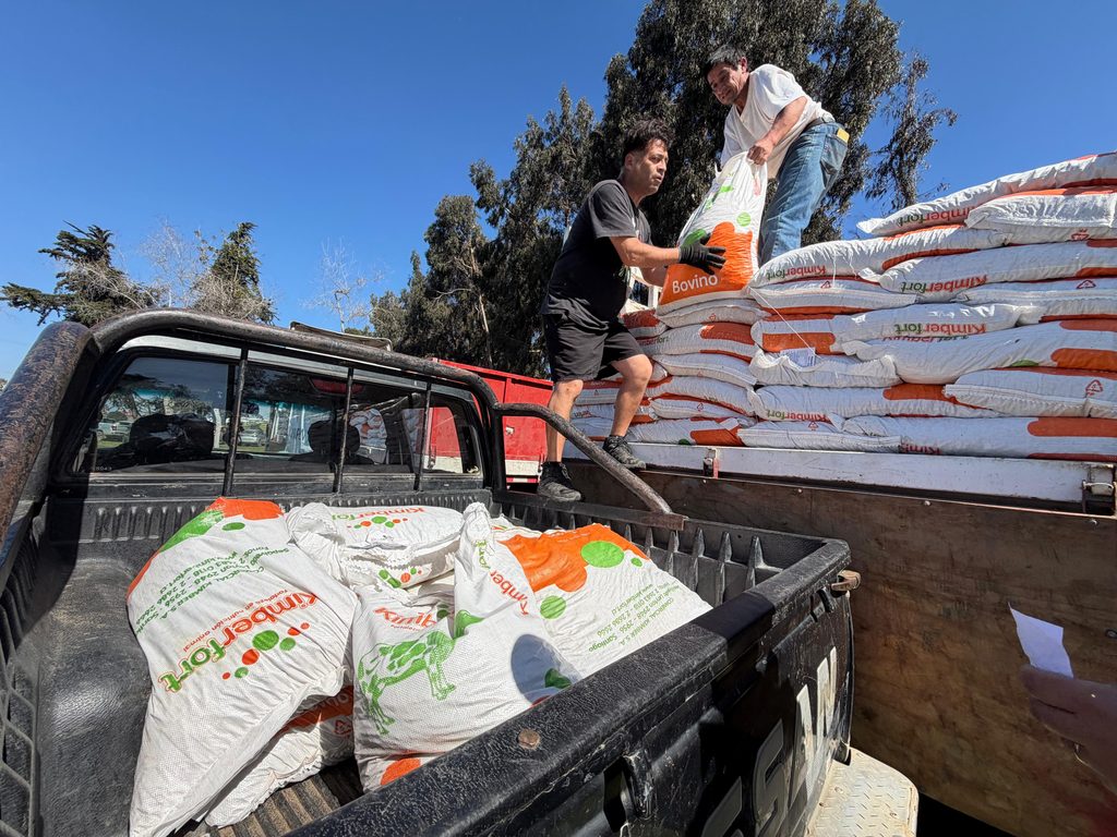 Productores caprinos de La Serena recibiendo sacos de alimento para su ganado entregados por INDAP.