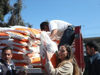 Productores caprinos de La Serena recibiendo sacos de alimento para su ganado entregados por INDAP.